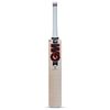 GM Mythos 303 Kashmir Willow Cricket Bat