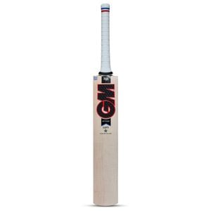 GM Mythos 303 Kashmir Willow Cricket Bat