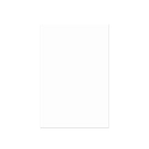 Bellessi 730mm x 895mm x 5mm Glass Filler Panel - Ice