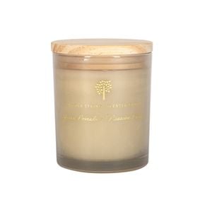 Nicola Spring Soy Wax Scented Candle 130g - Green Pomelo & Passion Fruit - Fruity Fresh Fragrance In Glass Jar - Long Burn