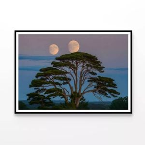 A Tree with the Moon  Print 100% Australian Made 90x60cm  (Poster)