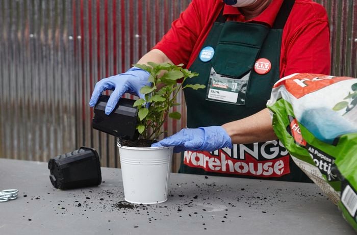 A person transferring a plant from a plastic pot to a small white galvanised bucket