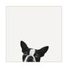 Artey | Loyalty - Stretched Canvas - Stretched Canvas - 120 x 120cm