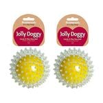 2PK Rosewood Pet Catch & Play Spike Tennis Ball