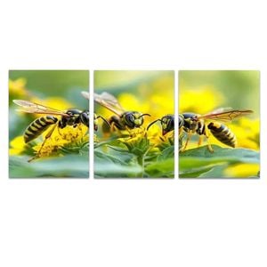 3pcs Insects Collecting Pollen Print 100% Australian Made 3 x 40x60cm  (Stretched)