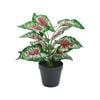 UN-REAL 40cm Purple Caladium Artificial Plant