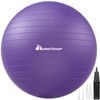 METEOR Purple 45-55cm Yoga Ball with Pump