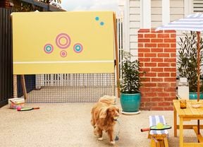 A yellow pickleball practice wall with colourful target circles and a blue net, set up outdoors.