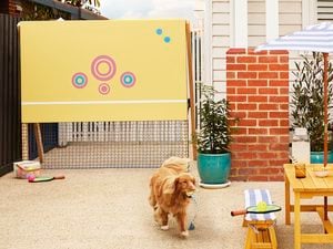 A yellow pickleball practice wall with colourful target circles and a blue net, set up outdoors.