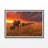 Elephants Moving Across Field  Print 100% Australian Made 120x90cm  (Poster)