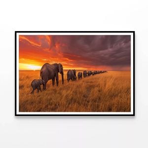 Elephants Moving Across Field  Print 100% Australian Made 120x90cm  (Poster)