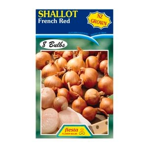 Fiesta Flower Bulbs Shallots French Red - 8 Bulbs