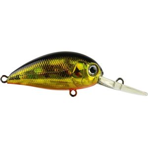 Atomic Hardz Crank Deep Hardbody 38mm Fishing Lure Gold Wolf