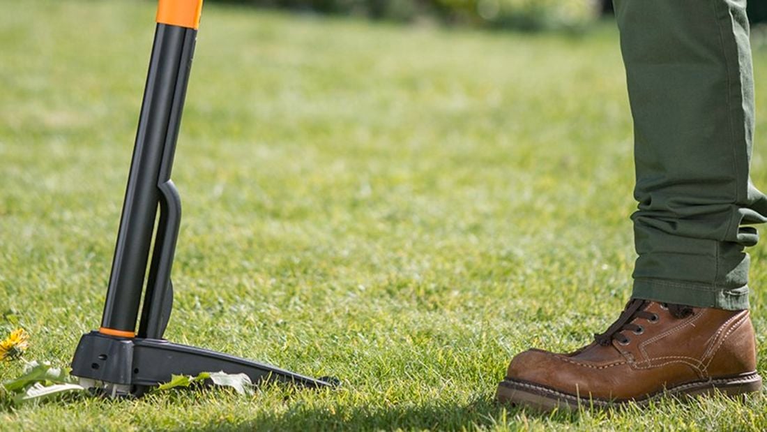 A weed removal tool in the grass beside a person's shoes.