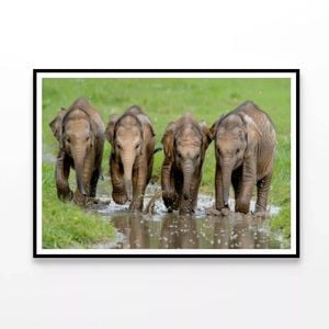 Elephants Peacefully Grazing  Print 100% Australian Made 90x60cm  (Poster)