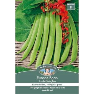 Mr Fothergill's Seed Bean Scarlet Runner Stringless