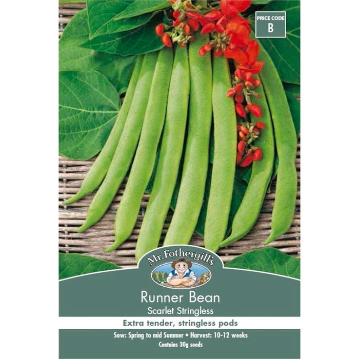 Mr Fothergill's Seed Bean Scarlet Runner Stringless