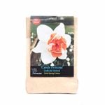 Yarra Valley Bulbs Daffodil Candy Princess - 2 Pack