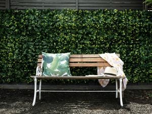 Bench seat in front of fence with fake hedge.