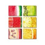 Cinnamon Cork Backed Coasters Set of 6 - Fruit Slice