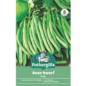 Fothergill's Banjo Dwarf Bean Vegetable Seeds