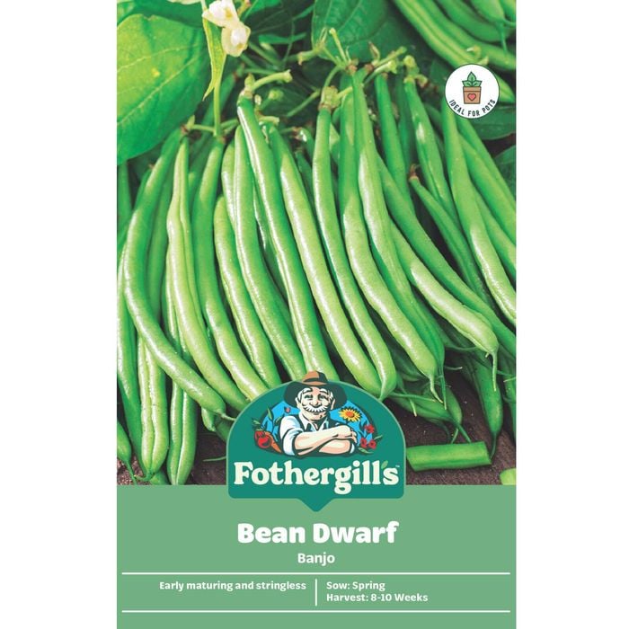 Fothergill's Banjo Dwarf Bean Vegetable Seeds