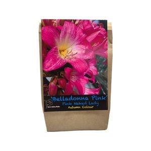 Yarra Valley Bulbs Belladonna Pink 2 Pack
