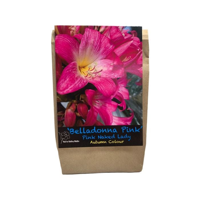 Yarra Valley Bulbs Belladonna Pink 2 Pack