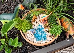 DIY Advice Image - How to make a dinosaur garden. Elvis and Personal SharePoints blob storage upload.