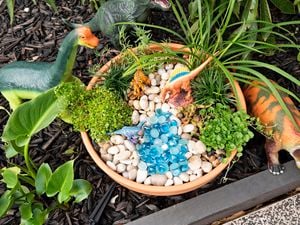 DIY Advice Image - How to make a dinosaur garden. Elvis and Personal SharePoints blob storage upload.
