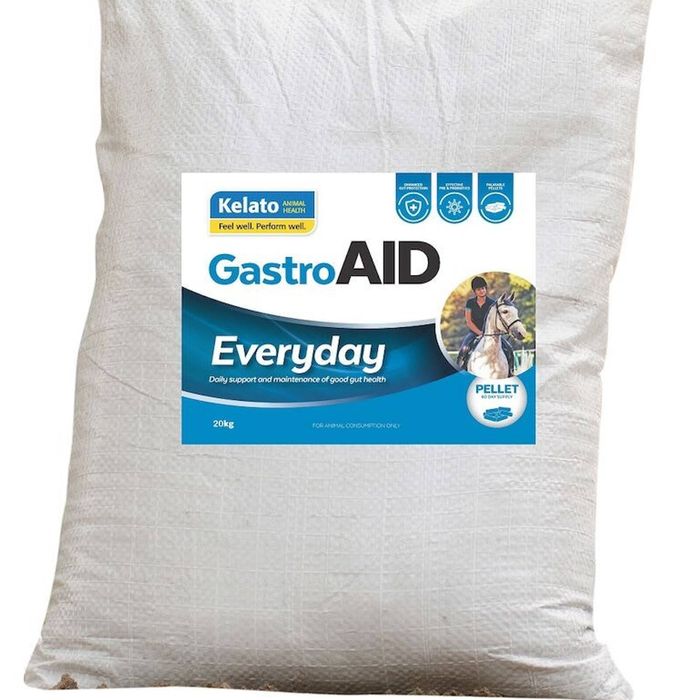 GASTROAID EVERYDAY 20KG - 20KG