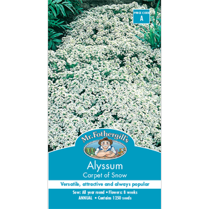 Mr Fothergill's Seed Alyssum Carpet Of Snow
