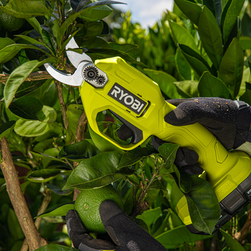 Ryobi One 18V Cordless Bypass Pruning Secateurs Tool Only Bunnings Australia