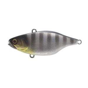 Jackall TN60 Hard body Vibration Fishing Lure Shibu Silver Gill