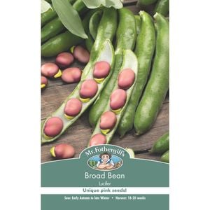 Mr Fothergill's Broad Bean Lucifer Seed