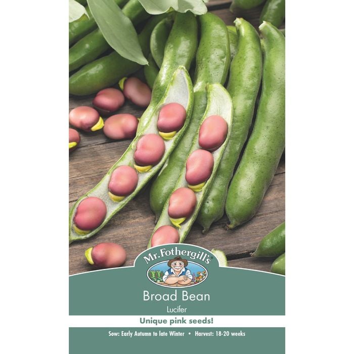 Mr Fothergill's Broad Bean Lucifer Seed