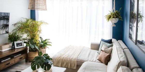 Lounge room made stylish with decor.