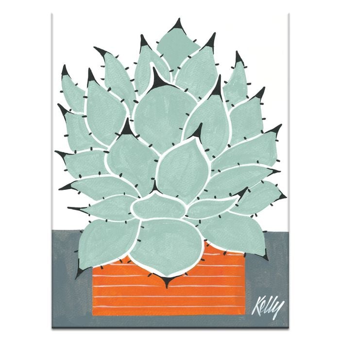 Artist Lane "MexiCan" by Kelly - 41x51cm Stretched Canvas
