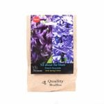 Yarra Valley Bulbs Hyacinth Blue Blend - 4 Pack