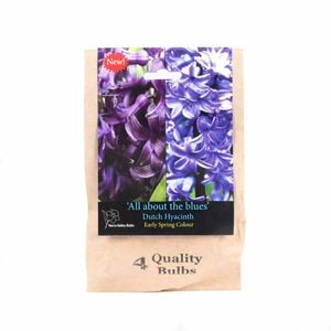 Yarra Valley Bulbs Hyacinth Blue Blend - 4 Pack