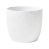 SK 21.5 x 21cm White Boston Indoor Pot