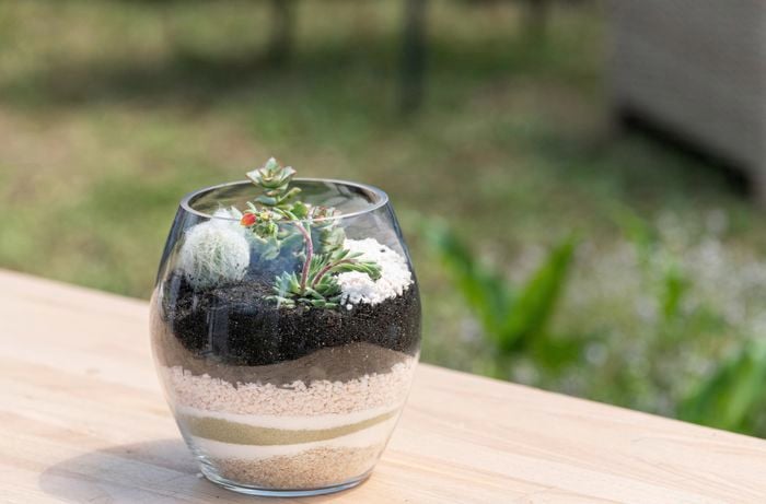 See-through glass post with stones, sand and succulents in it.