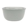 Ecology Ottawa Lichen Laksa Bowl 20cm
