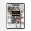 Girrafe and Fashion Store  Print 100% Australian Made 90x120cm  (Poster)