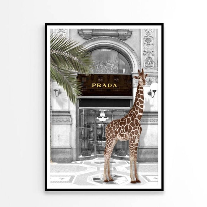 Girrafe and Fashion Store  Print 100% Australian Made 90x120cm  (Poster)
