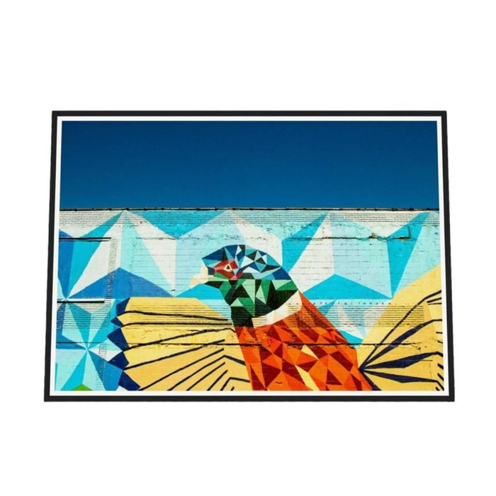 Galrie Vibrant Detroit Wall Art Featuring a Colourful Bird in Fine Art Photography, Black Frame, 50 x 70cm (20 x 28inch)