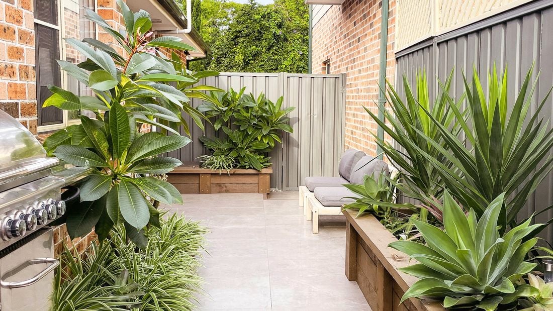 small Back yard with mature plants and bbq