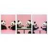 3pcs Table Tennis panda Art Painting Print 100% Australian Made 3 x 40x60cm (Metal Print)