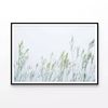 Group of Green Plants Field  Print 100% Australian Made 120x90cm  (Poster)