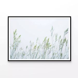 Group of Green Plants Field  Print 100% Australian Made 120x90cm  (Poster)